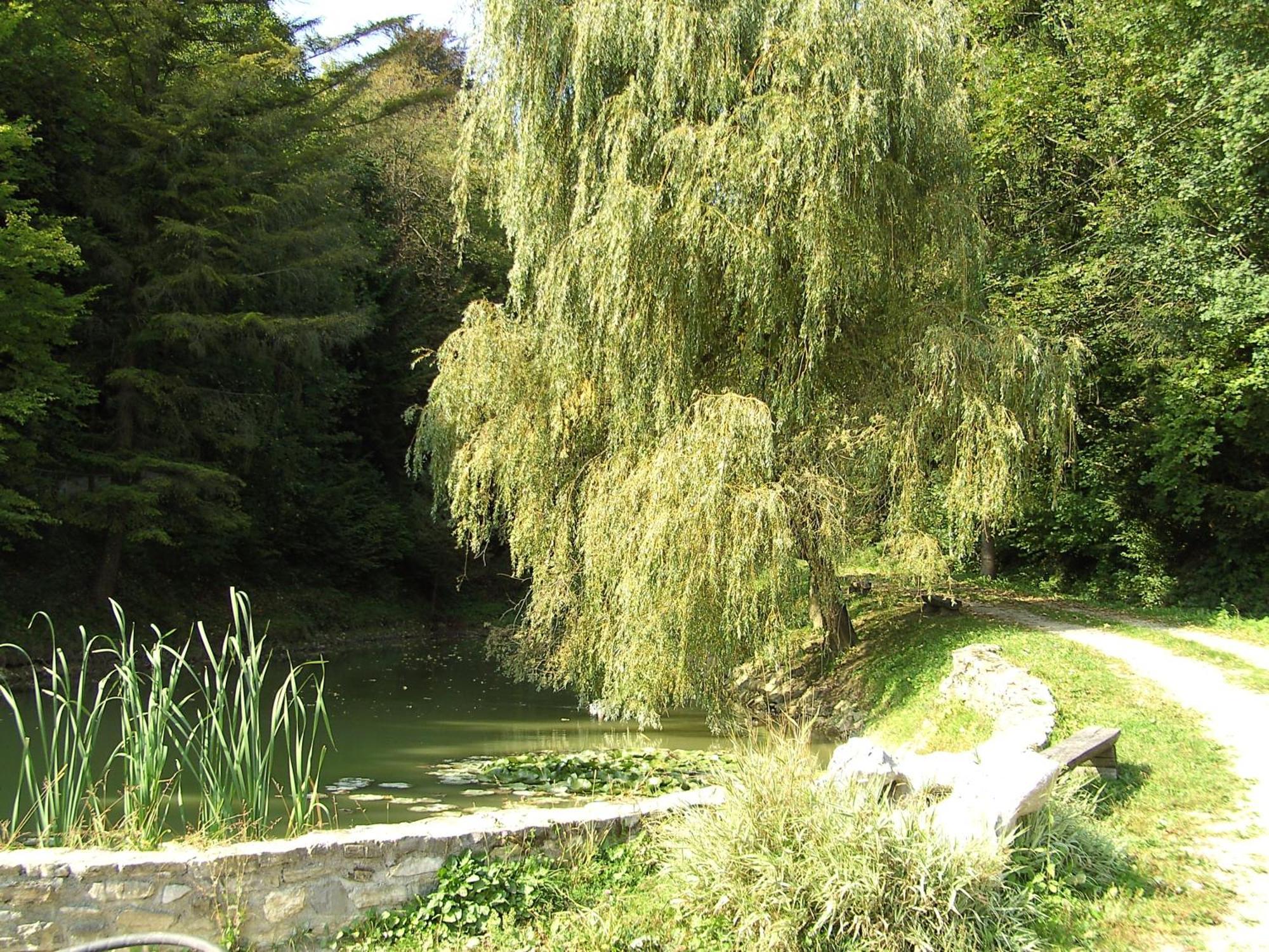 Vila Silva Marija Apartments Pišece Esterno foto